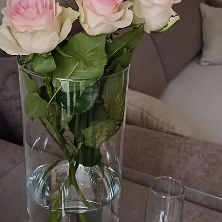 شقة Sweet In ترييستي